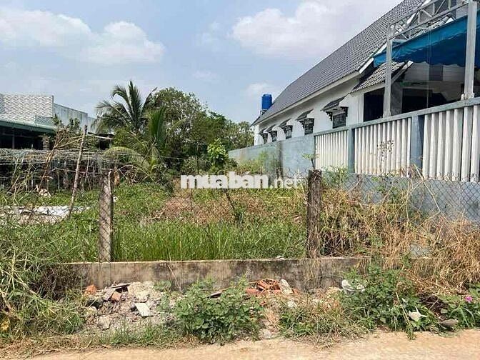 Đất 261m2 Full Thổ Cư – Gần UBND Đức Hòa Đông