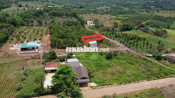 Bán đất Ea Kuêh, Cư M’gar | 1.156m², quy hoạch đất ở