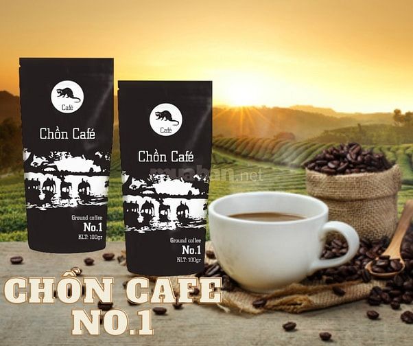 Cà Phê Paris Coffee-  CÀ PHÊ CHUẨN VỊ – ĐÁNH THỨC MỌI GIÁC QUAN