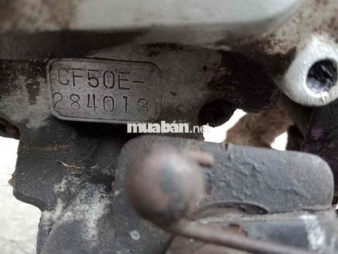 Honda Chaly màu Tím trắng