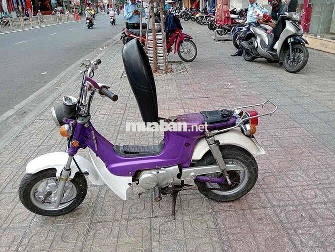 Honda Chaly màu Tím trắng