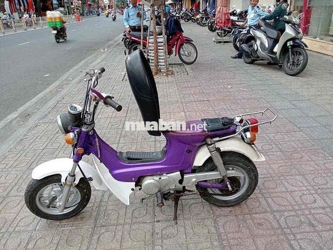 Honda Chaly màu Tím trắng