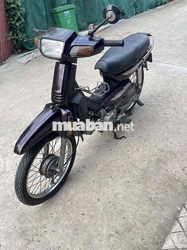 Honda Dream Astrea