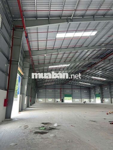 Cho thuê nhà xưởng mới xây dựng tại Dầu Tiếng, Bình Dương