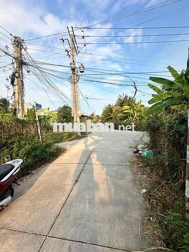 ❌ Đất thổ rẻ- Phường 6 - Tp Tân an ❌