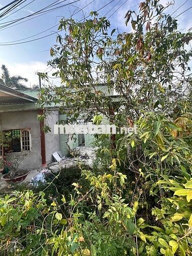 ❌ Đất thổ rẻ- Phường 6 - Tp Tân an ❌