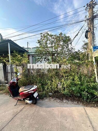 ❌ Đất thổ rẻ- Phường 6 - Tp Tân an ❌
