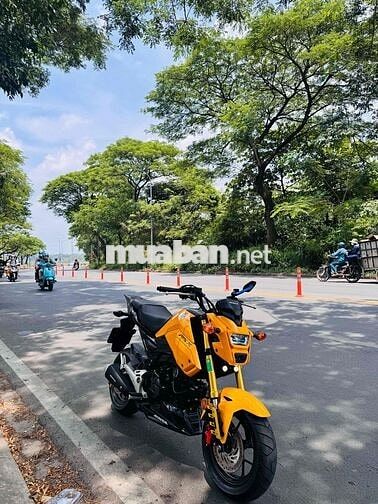 Honda MSX125 2020 Vàng Đã sử dụng