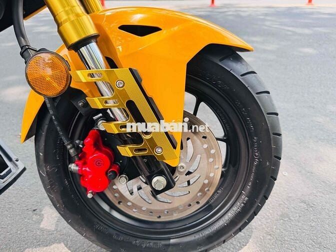 Honda MSX125 2020 Vàng Đã sử dụng