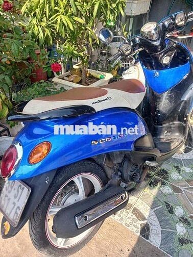Honda Scoopy Xanh Nữ
