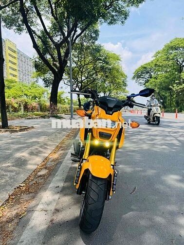 Honda MSX125 2020 Vàng Đã sử dụng