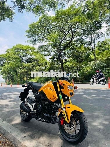 Honda MSX125 2020 Vàng Đã sử dụng
