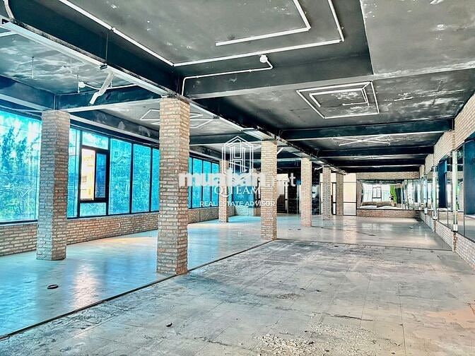 🌟 Góc 2MT Đồng Đen TB - 30x10m Hầm 4 Tầng, Thang Máy Sang Trọng