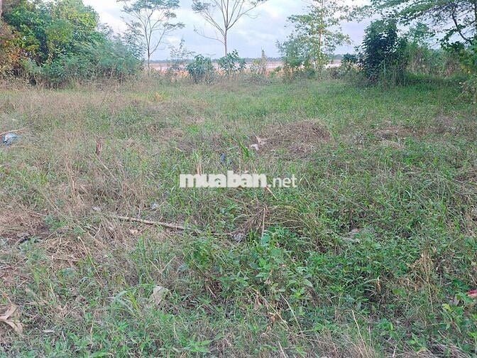 Cần bán đất Thôn Kỳ Lam 2, xã Điện Thọ, phường Điện Bàn Tây, Đà Nẵng