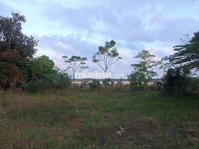 Cần bán đất Thôn Kỳ Lam 2, xã Điện Thọ, phường Điện Bàn Tây, Đà Nẵng
