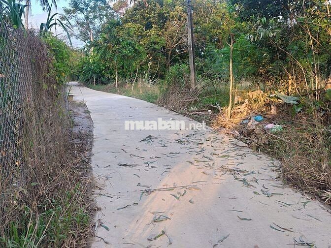 Cần bán đất Thôn Kỳ Lam 2, xã Điện Thọ, phường Điện Bàn Tây, Đà Nẵng