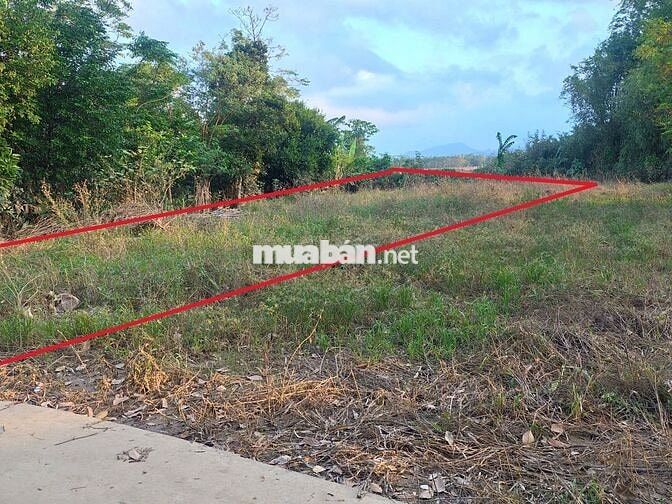 Cần bán đất Thôn Kỳ Lam 2, xã Điện Thọ, phường Điện Bàn Tây, Đà Nẵng