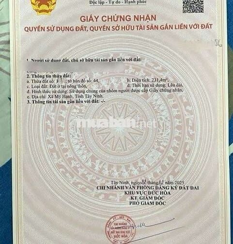 Đất 5 x 46,25m Mặt tiền đường Gò Hưu. Gần chợ Mỹ Hạnh Nam