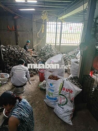 cần 5 nam lao động phổ thông