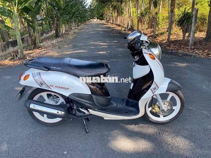 Yamaha Classico Trắng Tự động