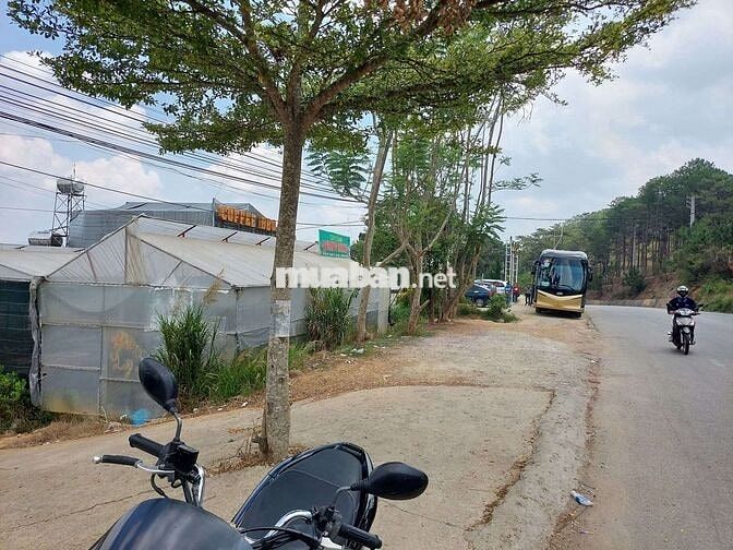 BÁN LÔ ĐẤT VỊ TRÍ ĐẮT ĐỊA MT ĐƯỜNG HÙNG VƯƠNG P XUÂN TRƯỜNG TP ĐÀ LẠT 