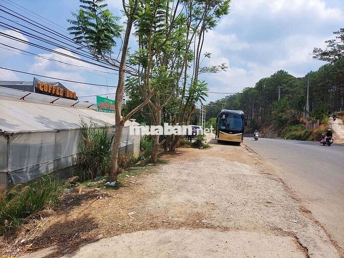BÁN LÔ ĐẤT VỊ TRÍ ĐẮT ĐỊA MT ĐƯỜNG HÙNG VƯƠNG P XUÂN TRƯỜNG TP ĐÀ LẠT 