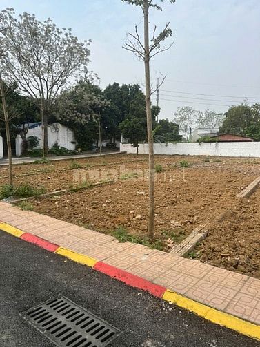 👉 Đất Cổ Đông 104.5m² gần ĐHQG Hòa Lạc – MT 5m, đường thông, giá chỉ 
