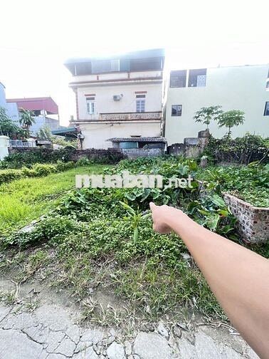 CHỈ HƠN 2TỶ LÔ ĐẤT VUÔNG VẮN, ĐƯỜNG THÔNG XE TẢI, GẦN VÕ NGUYÊN GIÁP