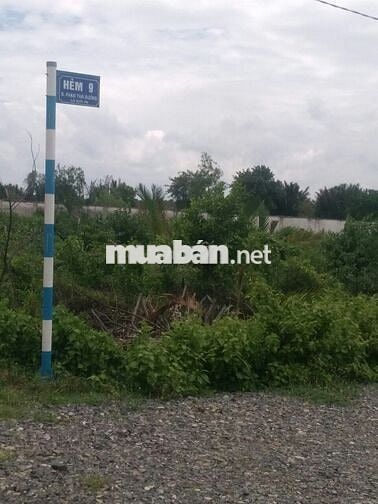 Bán đất hẻm số 9 đường Phạm Thái Bường, xã Phước Khánh
