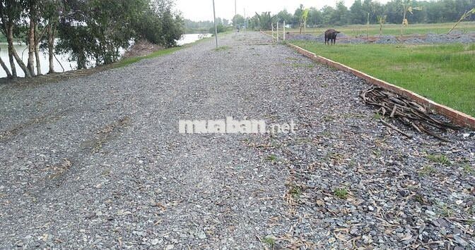 Bán đất hẻm số 9 đường Phạm Thái Bường, xã Phước Khánh