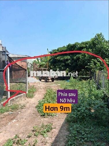 đất Chính Chủ 231m, Thổ 221m. hậu nở 10m, Xã phước Vĩnh an 