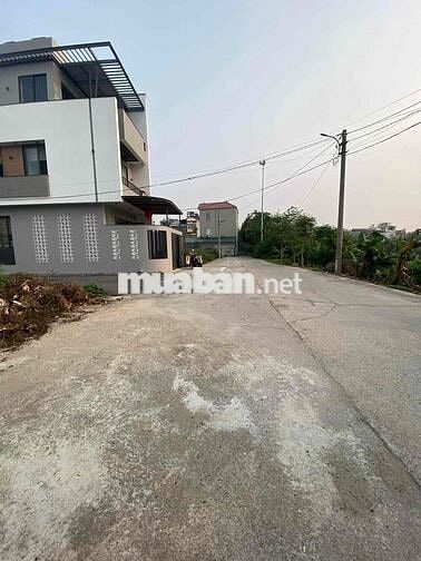 🔥 HOA HẬU LÔ GÓC X5 LƯƠNG QUY – XUÂN NỘN 🔥