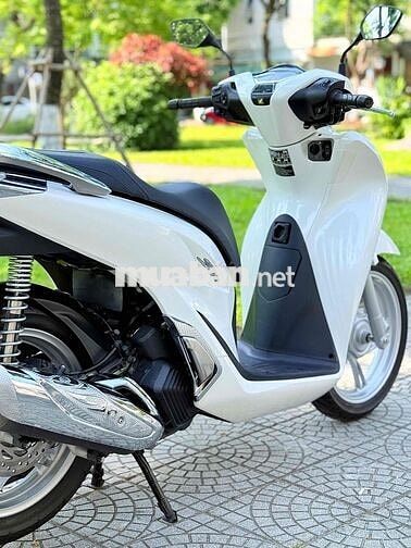 Honda SH 125 2025 Trắng