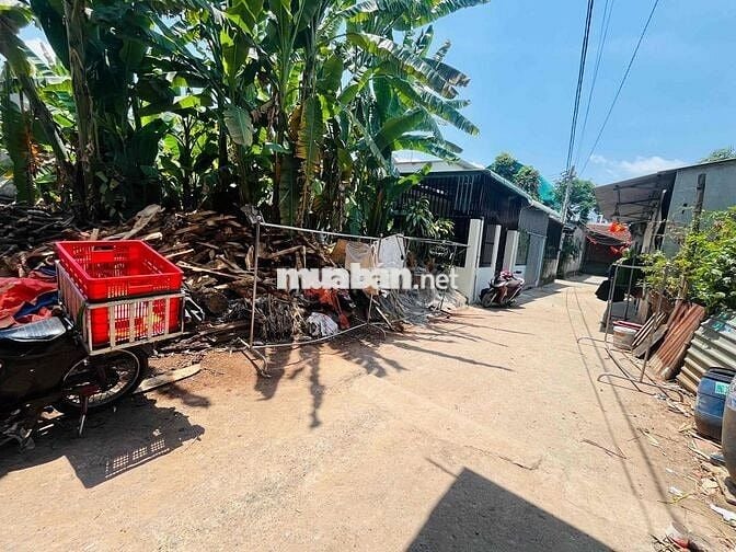 Đất SHR 169,7m2 tc 132,3m ngang 9,24m chợ Tân Bình hẻm 262 BTX