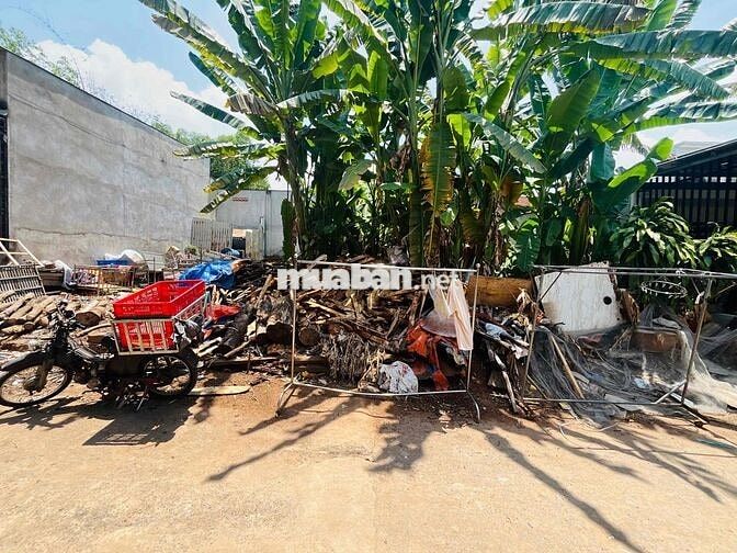 Đất SHR 169,7m2 tc 132,3m ngang 9,24m chợ Tân Bình hẻm 262 BTX