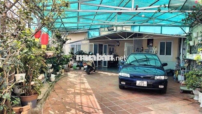 Nhà Đất Biệt thự Cafe vườn TT ĐàLạt Bán Rẻ Sớm định Cư, XD Mini Hotel