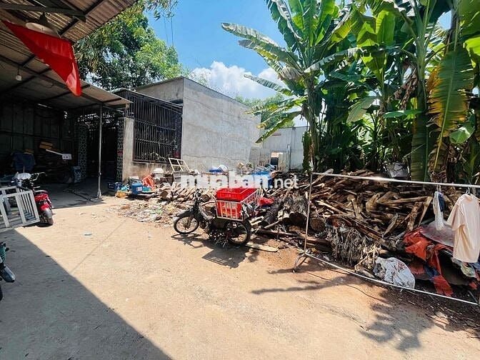 Đất SHR 169,7m2 tc 132,3m ngang 9,24m chợ Tân Bình hẻm 262 BTX