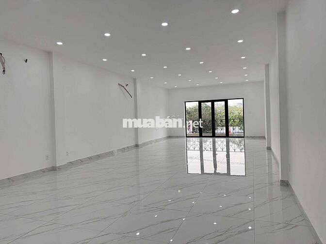 Cho thuê MBKD đường CMT8, Chánh Nghĩa, Thủ Dầu Một, Bình Dương