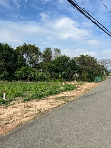 1055m - 300m thổ - SHR - Mặt tiền - Nhà vườn, kho xưởng, sản xuất, ...