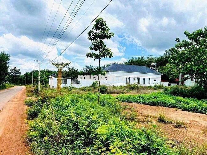 Đất thổ cư Chính chủ - 200m2 (100m TC) - Nhựa 9M - SHR - 350Triệu