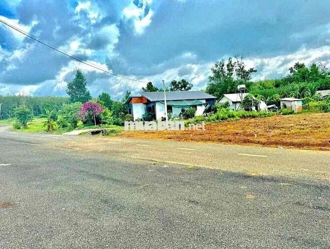 Đất thổ cư Chính chủ - 200m2 (100m TC) - Nhựa 9M - SHR - 350Triệu