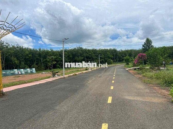 Đất thổ cư Chính chủ - 200m2 (100m TC) - Nhựa 9M - SHR - 350Triệu