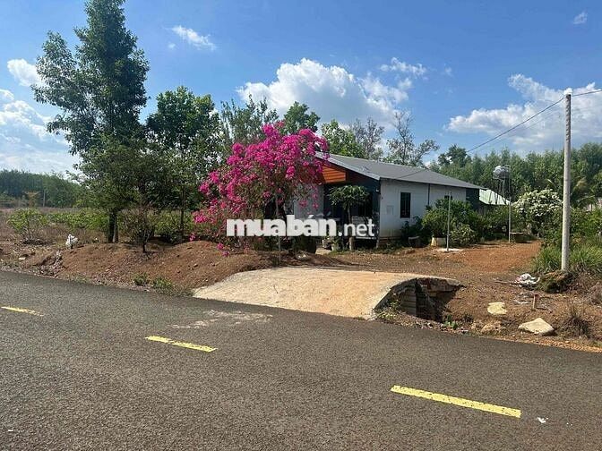 Đất thổ cư Chính chủ - 200m2 (100m TC) - Nhựa 9M - SHR - 350Triệu