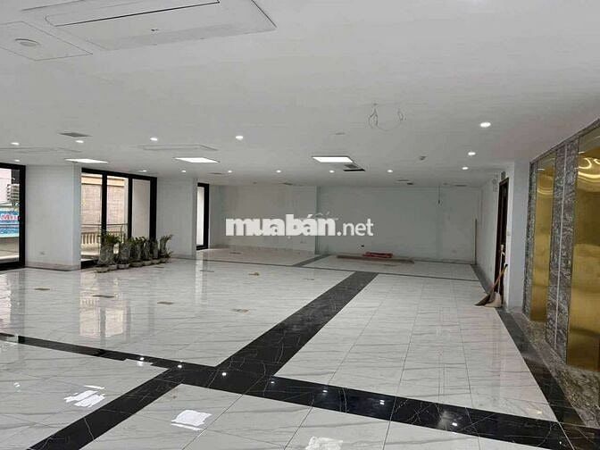 Tôi cần bán tòa nhà 9tầng 2thang máy, mặt ngõ Dịch Vọng Hậu Cầu Giấy