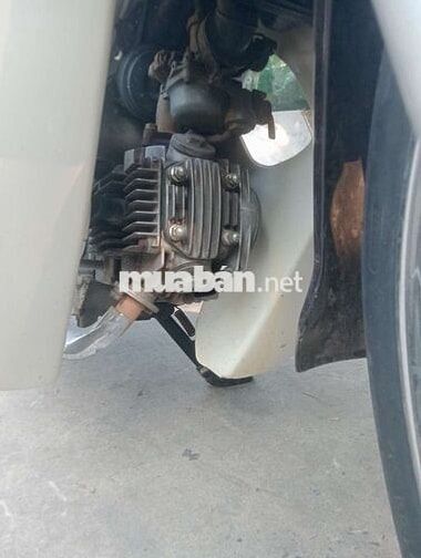 Honda Dream Nâu, Trắng