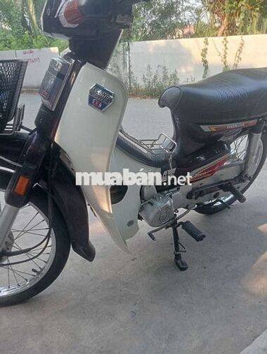 Honda Dream Nâu, Trắng