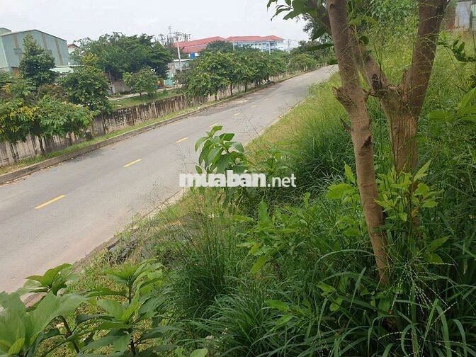 Hàng Ngộp. Siêu Rẻ. MT Đg Vận Hành.  XLHN.  Linh Trung.  Thủ Đức.