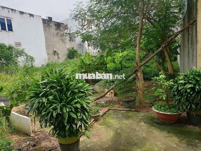 Hàng Ngộp. Siêu Rẻ. MT Đg Vận Hành.  XLHN.  Linh Trung.  Thủ Đức.