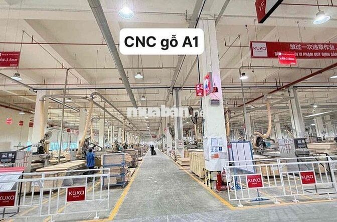 chiêu mộ 1000 lao động bao ăn ở