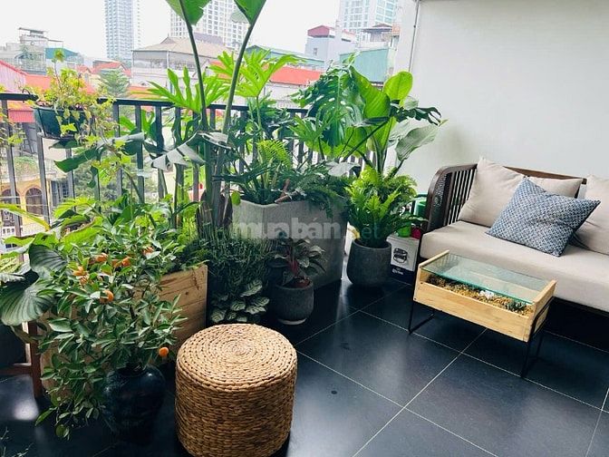QUỸ NHÀ ĐẸP TÂY HỒ – THANG MÁY – Ô TÔ – GẦN HỒ TÂY - HÀ NỘI 